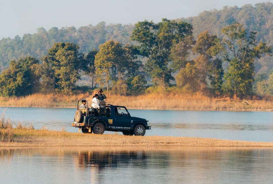 Luxury Chitwan Wildlife Safari: What It Takes to Actually See a Tiger